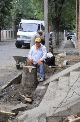 У центрі Чернівців заради будівництва зрізали п’ять дерев