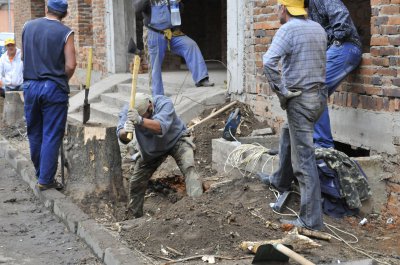 У центрі Чернівців заради будівництва зрізали п’ять дерев