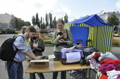 Під час фрімаркету в Чернівцях збирали іграшки для дітей-сиріт