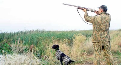 Працівник ОДА застрелив працівника облради на полюванні