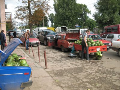 Буковинські кавуни продають по гривні