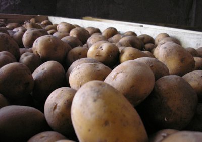 Азаров заявив, що картоплі достатньо, а у подорожчанні винні посередники