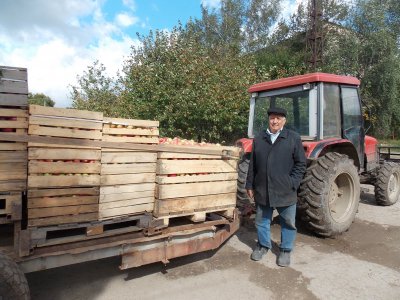 Нашими яблуками і грушами ласує вся країна