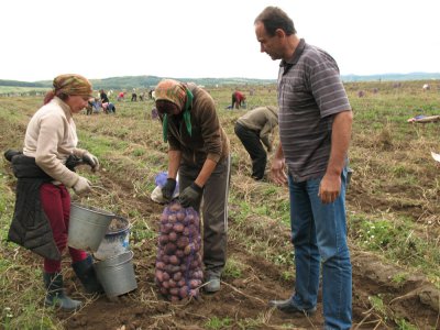 На відомого фермера «наїхали»