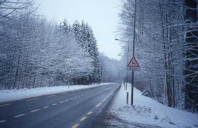 ДАІ перевірить стан доріг на Буковині