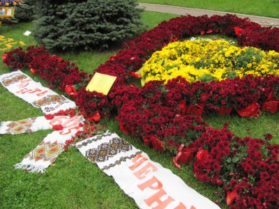 Із квітів на Театральній площі – панянки, торти та лебеді