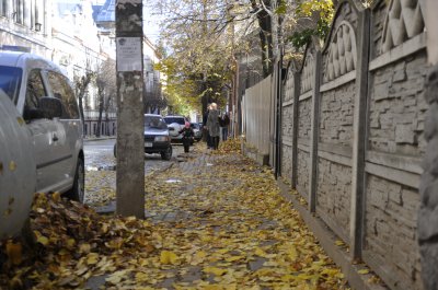 Чернівці завалило листям. А раптом сніг?