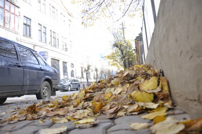 Чернівці завалило листям. А раптом сніг?