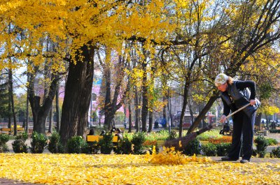 Осінь у Чернівцях - фоторепортаж