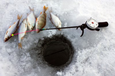 На Буковині заборонили рибалити до весни на зимувальних ямах