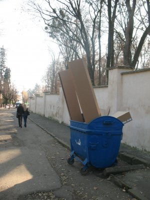 Чернівці потопають в осінньому смітті