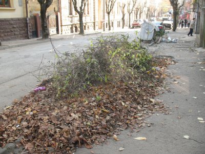 Чернівці потопають в осінньому смітті