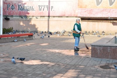 До Буковинського віча миють Центральну площу