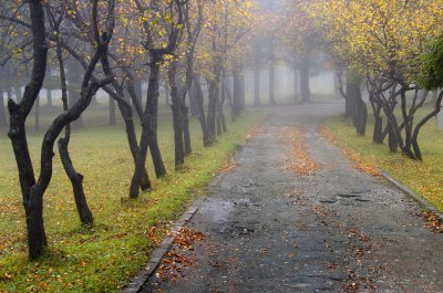 П’ятниця у Чернівцях буде прохолодною і без опадів