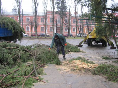 У Чернівцях встановлюють ялинку