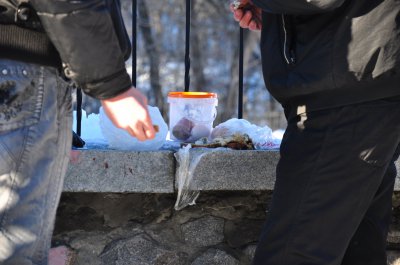 Мітингарі ПР танцюють під пісні Валевської в кільці міліції