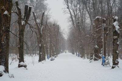 На Буковині – сильний сніг і хуртовина