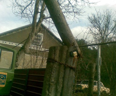 Чернівчанин спиляв дерево, яке впало і збило два стовпи