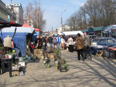 На ярмарку в Чернівцях — саджанці фундука і бананового дерева