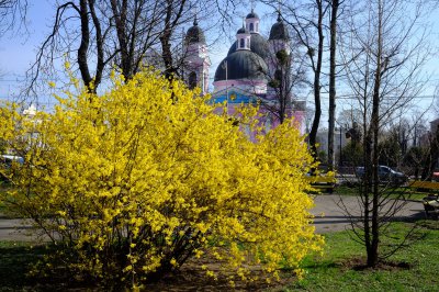 У Чернівцях — нічні морози