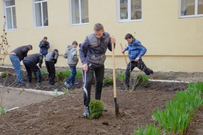 На території ліцею в Чернівцях створюють дендропарк