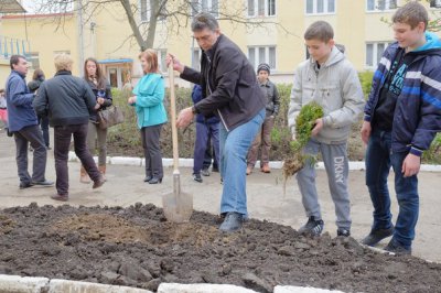 На території ліцею в Чернівцях створюють дендропарк