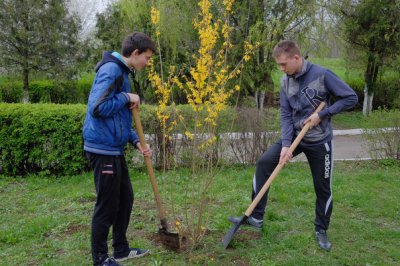 На території ліцею в Чернівцях створюють дендропарк