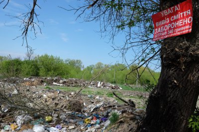 Туристи шоковані огидним сміттєзвалищем біля тюльпанового поля у Мамаївцях