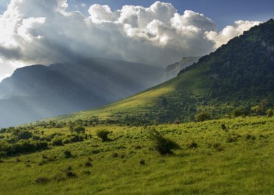 На Балканах виявили джерело смертельної супербактерії