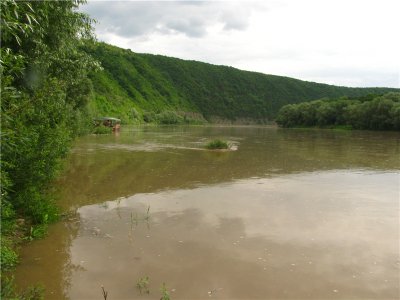 Рівень води в Дністрі на Буковині може піднятися до 8 метрів