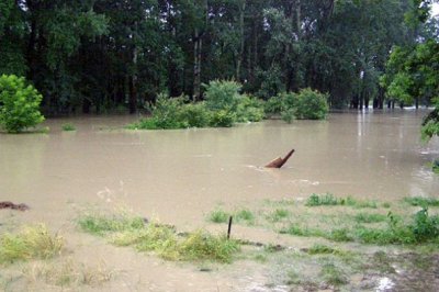 Велика вода на Буковині мало не затопила городи