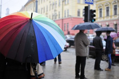 Початок червня на Буковині видався прохолодним і дощовим