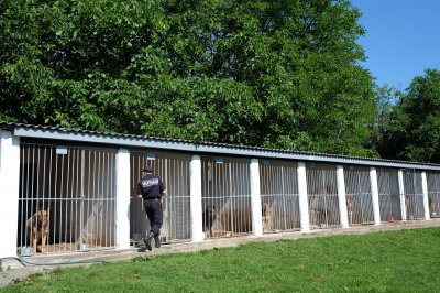 У чернівецькому кінологічному центрі поставили пам’ятник собаці