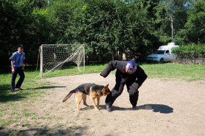 У чернівецькому кінологічному центрі поставили пам’ятник собаці