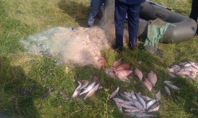 На Дністрі затримали браконьєрів, які наловили риби на 365 тисяч