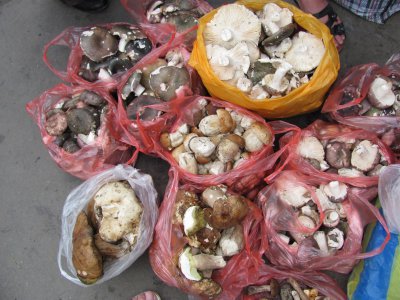 У Чернівцях білі гриби продають по 45 гривень