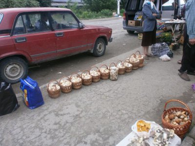 Гриби в горах на Буковині продають по 10-15 гривень