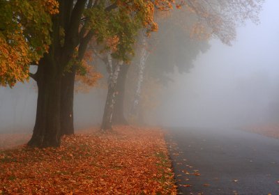 У п’ятницю в Чернівцях буде хмарно з проясненнями