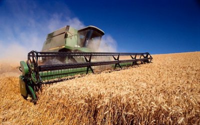 Експорт української сільськогосподарської продукції до ЄС збільшився на 14%