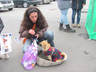 У Чернівцях відбувся фестиваль домашніх тварин (ФОТО)