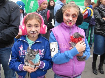 У Чернівцях відбувся фестиваль домашніх тварин (ФОТО)