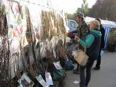 У Чернівцях на ярмарку продають Адамове яблуко і Боже дерево (ФОТО)