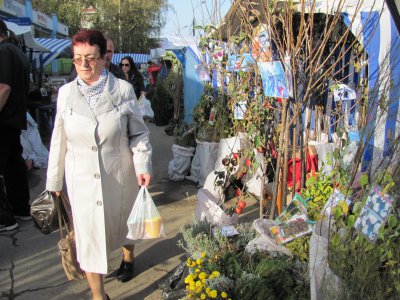 У Чернівцях на ярмарку продають Адамове яблуко і Боже дерево (ФОТО)