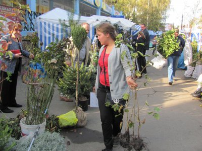 У Чернівцях на ярмарку продають Адамове яблуко і Боже дерево (ФОТО)