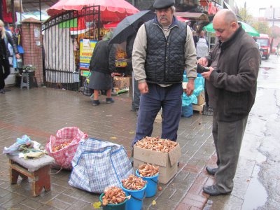 У Чернівцях за останніми осінніми грибами на ринках шикуються черги (ФОТО)