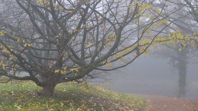 У вихідні у Чернівцях буде хмарно