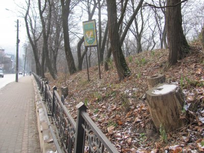 У парку Шіллера в Чернівцях знесли дерева й зібрали сміття (ФОТО)