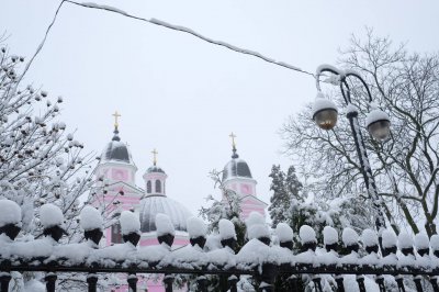 У центрі Чернівців позашляховик і тролейбус створили затор (ФОТО)