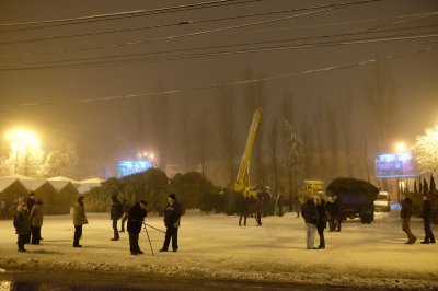 У Чернівцях встановили новорічну ялинку (ФОТО)