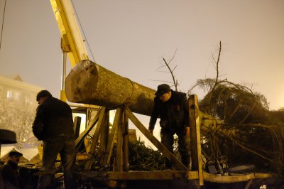 У Чернівцях встановили новорічну ялинку (ФОТО)